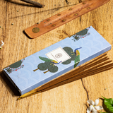 Best Perfume Shop in Lucknow β MY AROMA JUNCTION