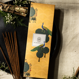 Best perfume shop in Lucknow – MY AROMA JUNCTION