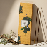 Best Perfume Shop in Lucknow – MY AROMA JUNCTION