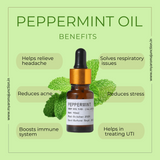 Best perfume shop in Lucknow – MY AROMA JUNCTION