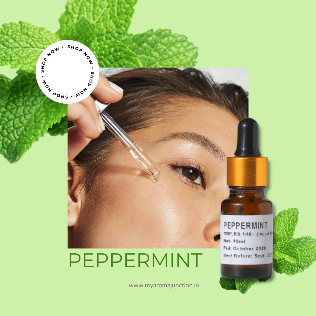 Best perfume shop in Lucknow – MY AROMA JUNCTION