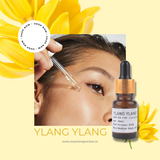 Best perfume shop in Lucknow – MY AROMA JUNCTION