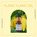 Best perfume shop in Lucknow – MY AROMA JUNCTION