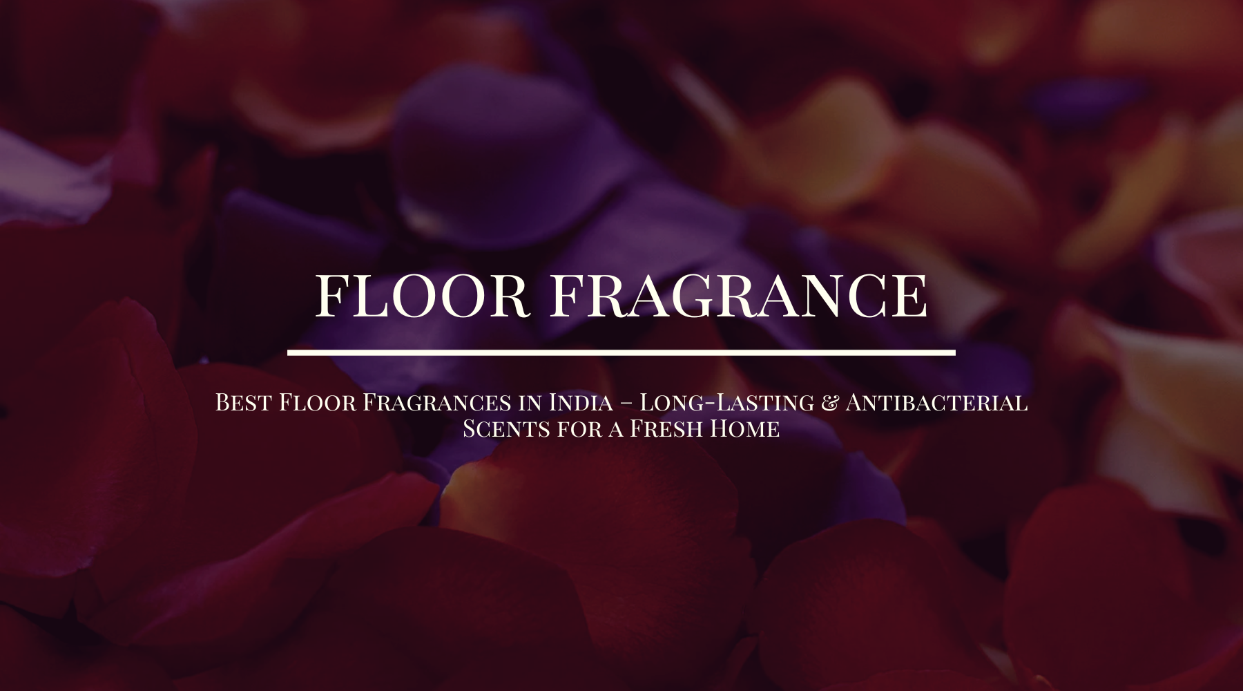 Best perfume shop in Lucknow – MY AROMA JUNCTION