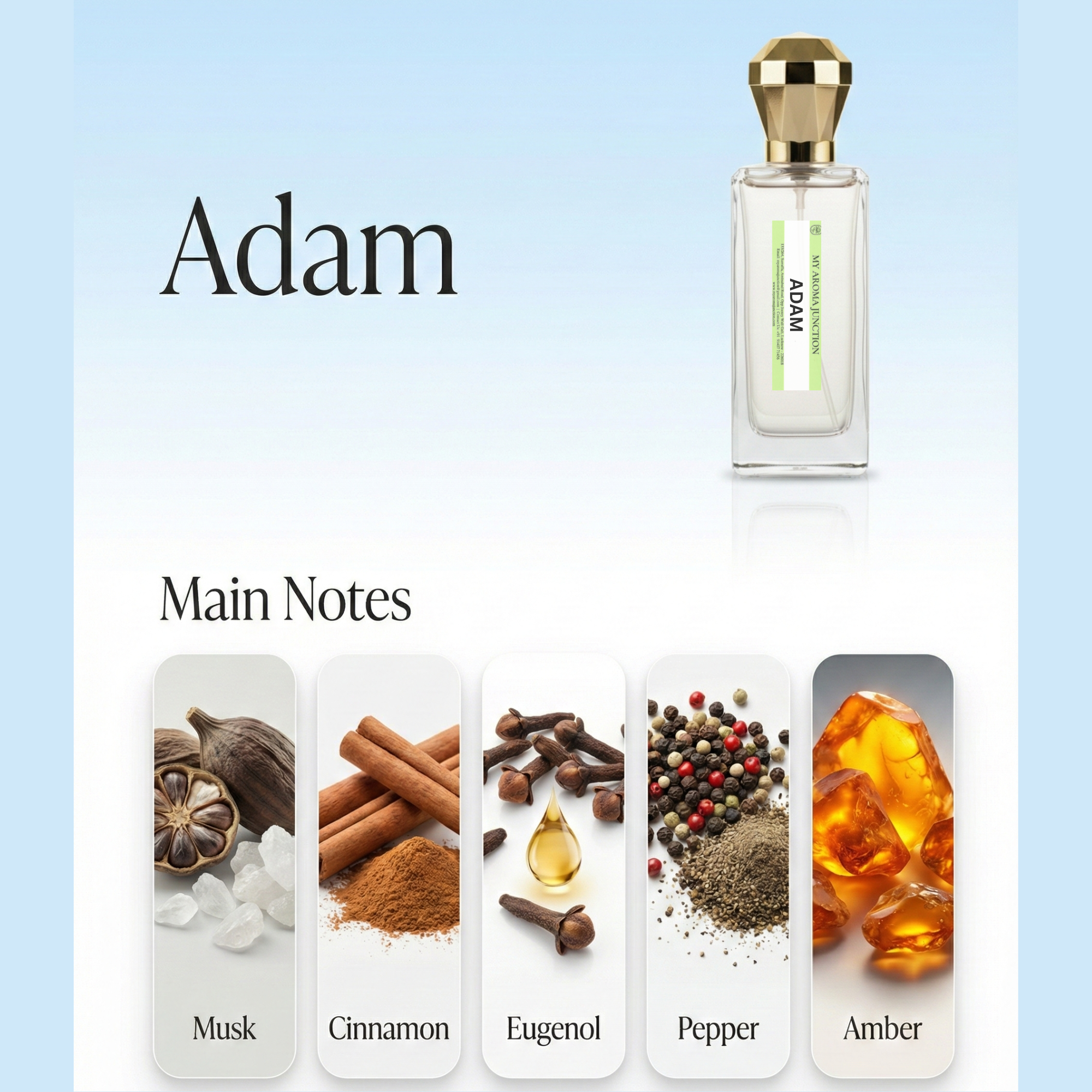 Adam Perfume for Men