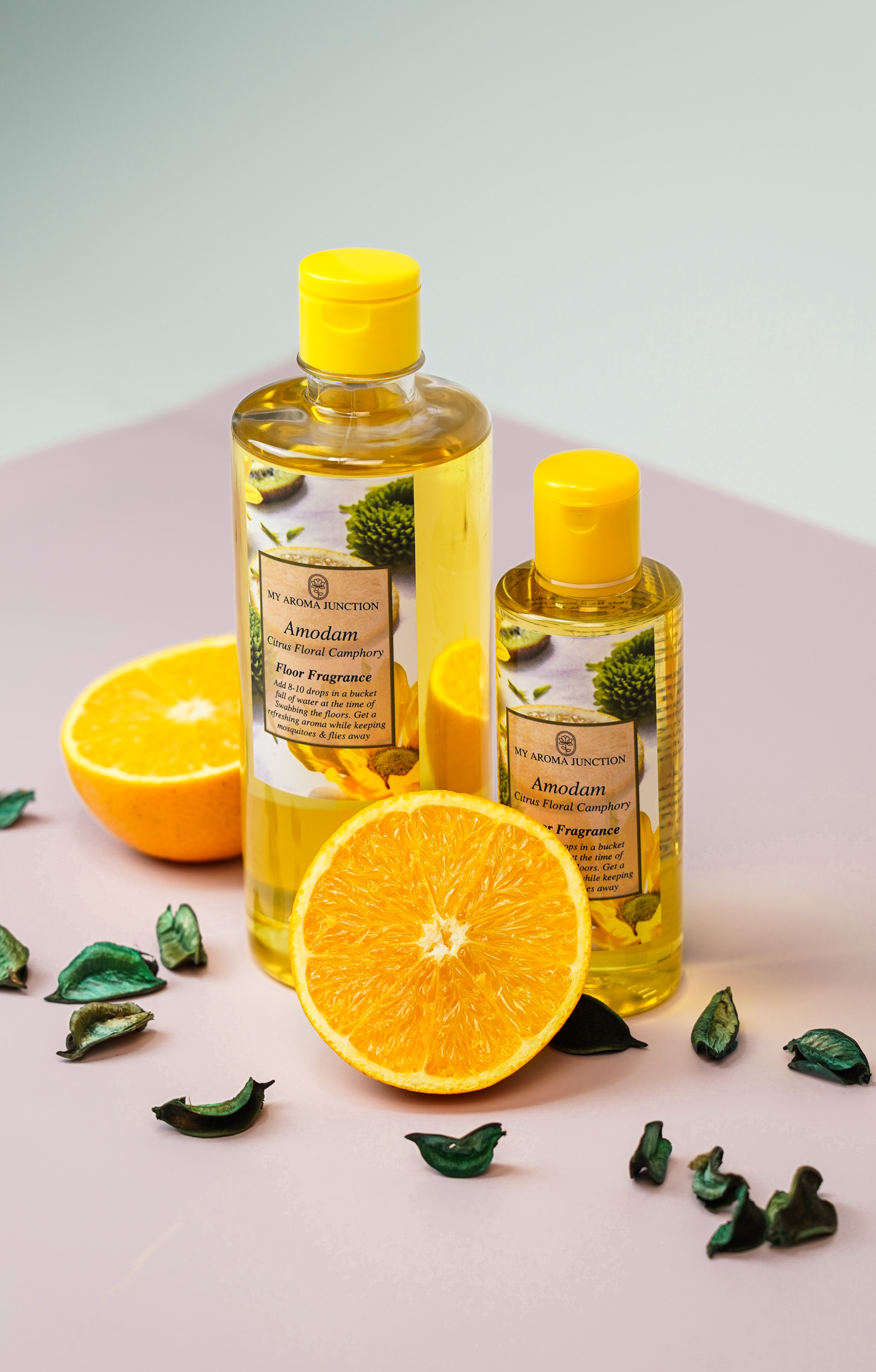 Amodam Citrus Floor Fragrance 500ml