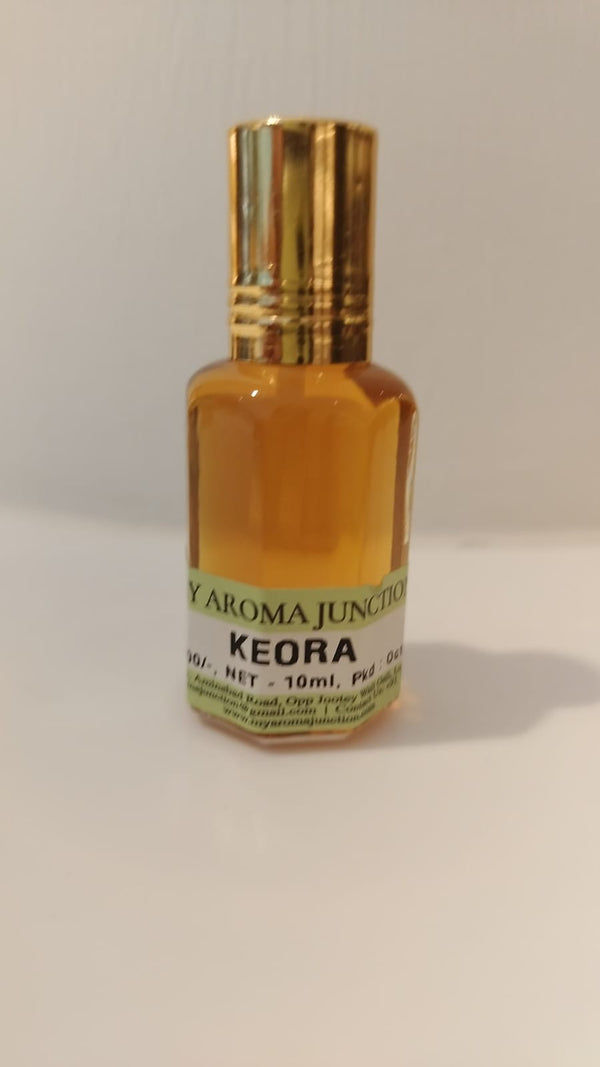 Best Perfume Shop in Lucknow – MY AROMA JUNCTION
