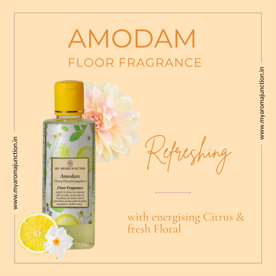 Amodam citrus floor fragrance by best perfume brand in Lucknow - My Aroma Junction