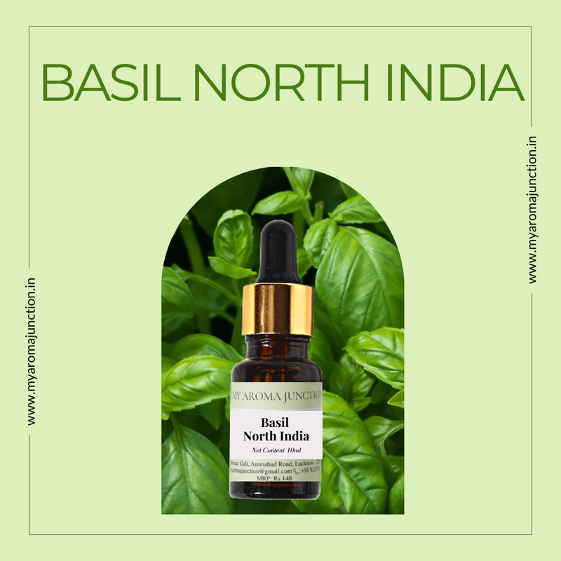 Best perfume shop in Lucknow – MY AROMA JUNCTION