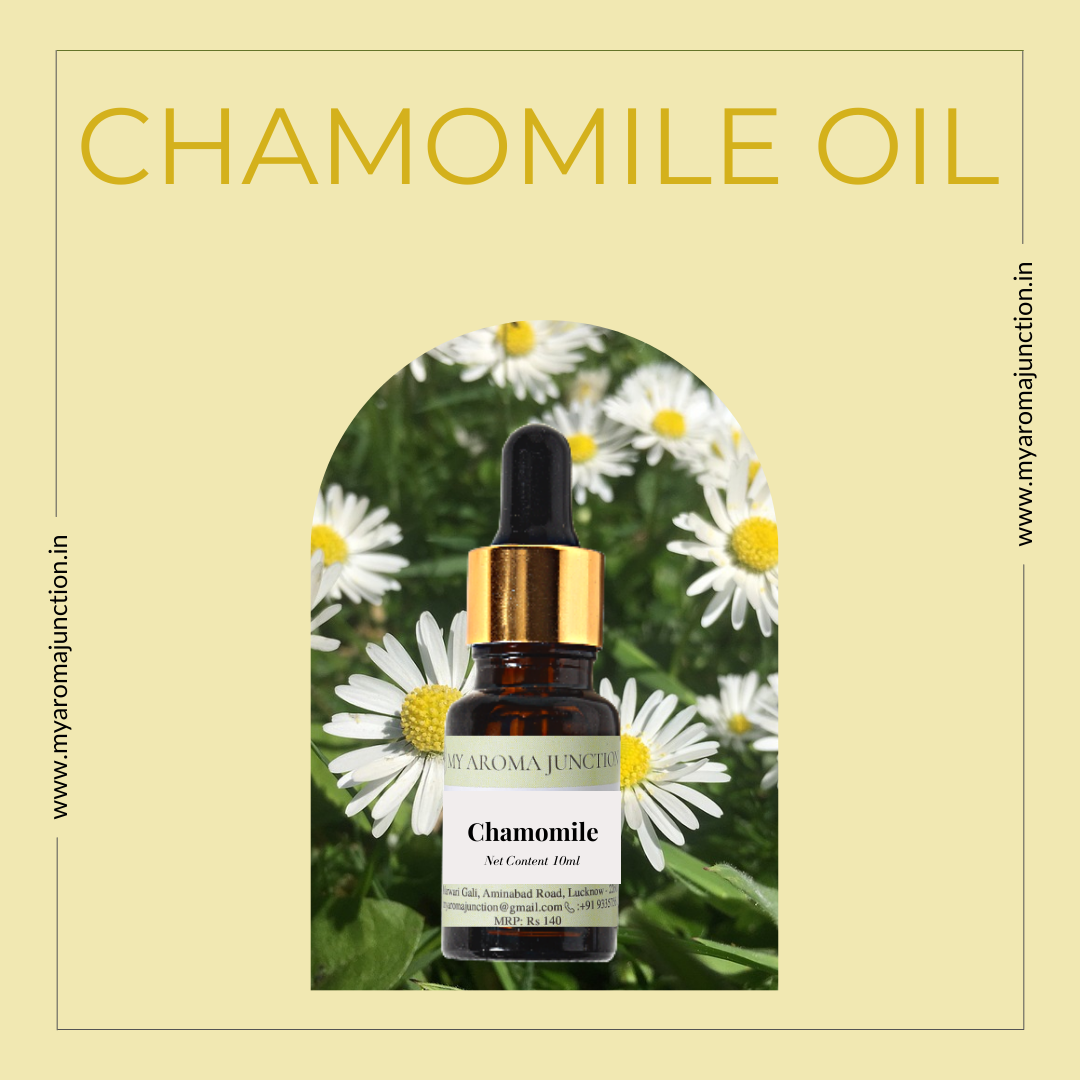 Best perfume shop in Lucknow – MY AROMA JUNCTION