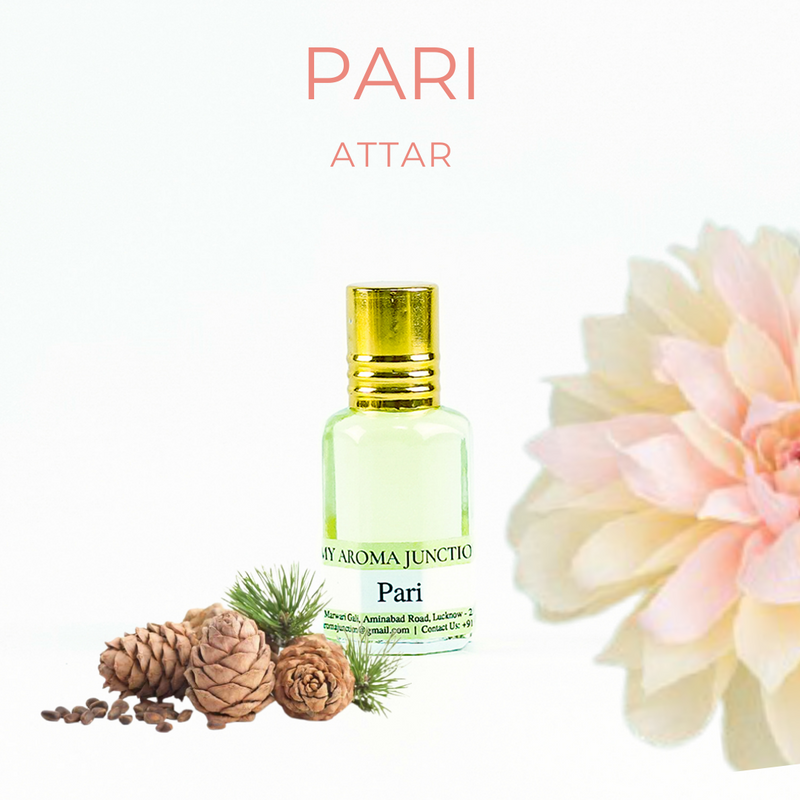 Best Perfume Shop in Lucknow – MY AROMA JUNCTION