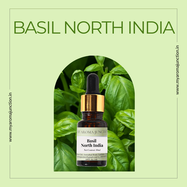 Basil North India Essential Oil